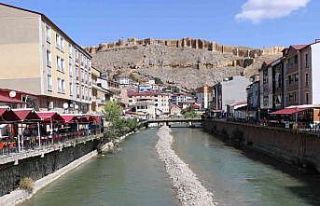 En az göç veren il Bayburt oldu