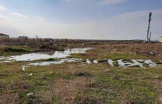 Enez’de boş araziye vidanjörle atık su boşaltan...