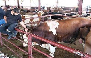 Erzincan’da et üreticilerine yem karma makinesi...