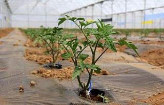 Erzincan’da seracılık yapacak çiftçilere devletten...