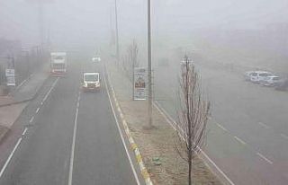 Erzincan’da sis ve soğuk hava etkili oldu