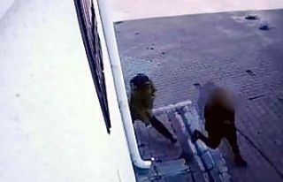 Ev fareleri yakalandı