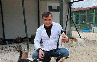 Evcil hayvan sahipleri dikkat, son 2 gün