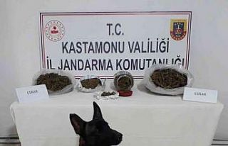 Evinde esrarla yakalanan şüpheli tutuklandı