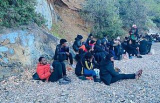 Fethiye’de 54 düzensiz göçmen yakalandı