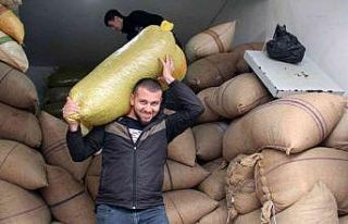 Fındık fiyatı yükselişini sürdürüyor