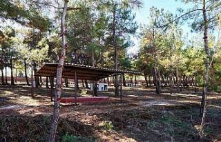 Gaziantep’te sokak hayvanlarına yaşam alanı