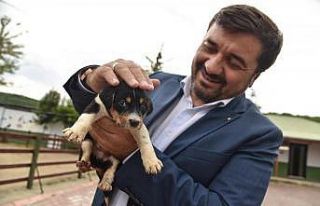 Giresun’da can dostlar emin ellerde