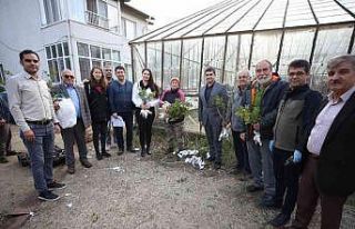 Gökçeada’da 6 bin 410 aşılı fidan toprakla...