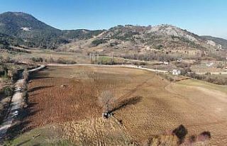 Gürsu Belediyesi buğday ekti