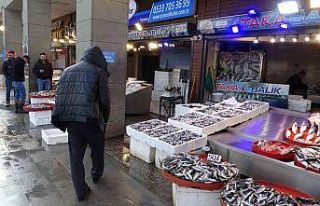 Hamsi sezonun en yüksek fiyatını gördü