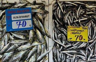 Hava sıcaklığı balık tezgahlarını olumsuz etkiliyor