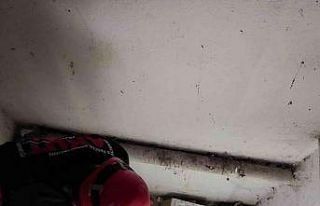 Havalandırma boşluğunda mahsur kalan kedi AKUT...