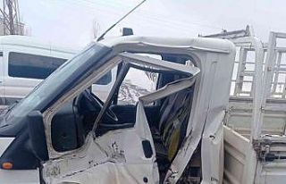 Hemzemin geçitte kaza: Sürücü kendisini atarak...