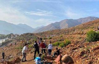 İçmelerli öğrenciler yüzlerce fidanı toprakla...