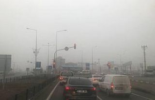 Iğdır-Ağrı karayolunda sis etkili oluyor