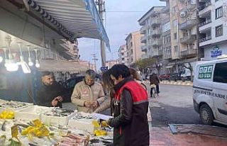 Iğdır’da balık satışı yapan işyerleri denetlendi