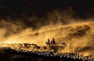 İHA objektiflerinden 2022 yılı