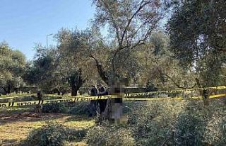 İnşaat işçileri gördü, polise haber verdi