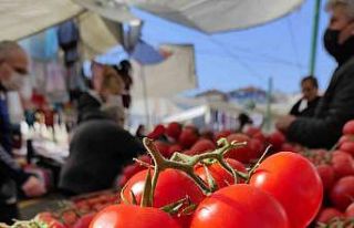 İstanbul’da Kasım ayında en çok domates pahalandı