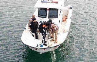 Jandarma ekipleri, kaçak avcıların kullandığı...