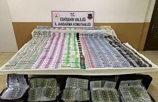 Jandarma ilk 10 ayda 278 şüpheliyi yakaladı