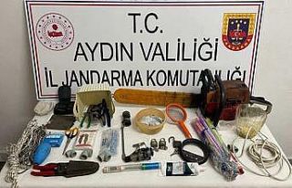 Jandarma Kasım ayında 60 hırsızlık olayını...