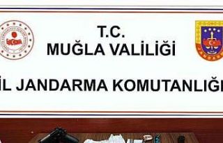 Jandarma şüpheli araçta silah ve kesici alet ele...