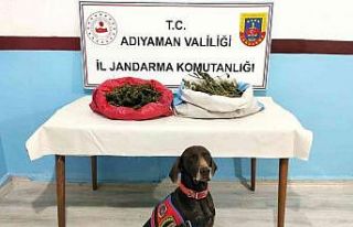 Jandarma uyuşturucu tacirlerine geçit vermiyor