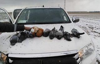 Kaçak avcılar suçüstü yapıldı