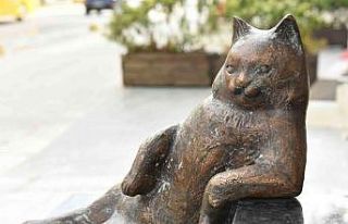 Kadıköy’ün kedisi Tombili yuvasına döndü