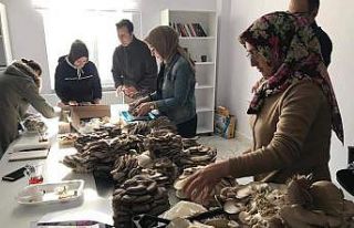 Kadınlar Tarafından Üretilen İstiridye Mantarının...