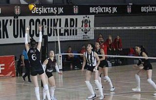 Kadınlar Voleybol 1. Lig B Grubu