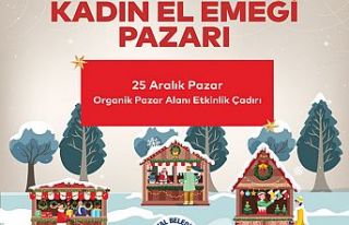 KADINLARIN EL EMEĞİ ÜRÜNLERİ YILBAŞI ÖZEL KADIN...