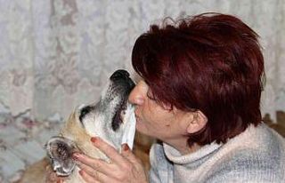Kansere yakalanan sokak köpeğine kemoterapi uygulandı