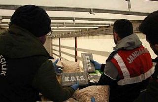 Kapıkule’de operasyon: Tırda 35 kilo kokain ele...