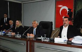 Karalar: "Yılda 25 bin sokak hayvanı kısırlaştırmalıyız"