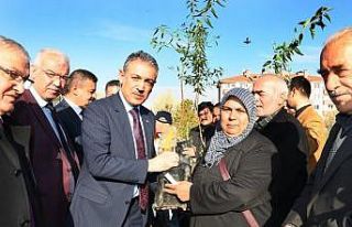 Karaman’da çiftçilere 80 bin adet fidan dağıtıldı