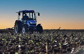 Karesi Belediyesi boş tarlalara buğday ekti