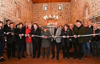 Karesinin en güzel kareleri beğeniye sunuldu