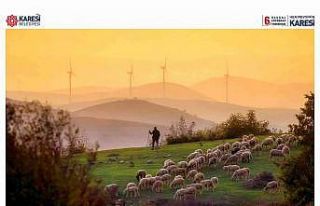 Karesi’nin en güzel kareleri sergilenecek