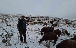 Kars’ta göçerlerin zorlu yolculuğu sürüyor
