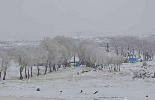 Kars’ta Lavaşın Gölü buz tuttu