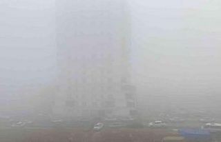 Kastamonu’da yoğun sis etkili oluyor