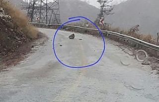 Kayanın altında kalmaktan son anda kurtuldular