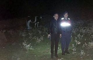 Kayıp hayvanları jandarma ekipleri bularak sahibine...
