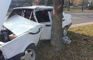 Kazada savrulan otomobil ağaca çarparak durabildi