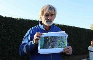 Kesilmiş ağacı tekrar kesince başına gelmeyen...