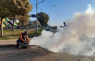 Kilis’te ilaçlama çalışmaları başladı