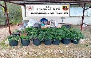 Kiraladıkları villada iklimlendirme sistemiyle kenevir...